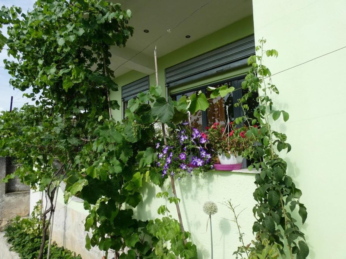 Guesthouse Aleksander Berat Exterior photo